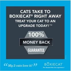 Boxiecat Premium Unscented Clumping Clay Cat Litter -Purrfect Litter Shop 103571 PT5. AC SS1800 V1643678185
