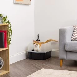 IRIS USA Open Top Litter Box With Scatter Shield & Scoop 14 IRIS USA Open Top Litter Box With Scatter Shield & Scoop -Purrfect Litter Shop 116462 PT4. AC SS1800 V1680811611