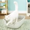 PetFusion BetterBox Non-Stick Cat Litter Box -Purrfect Litter Shop 133670 MAIN. AC SS1800 V1565284824