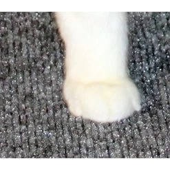 Drymate Corner Ridged Cat Litter Trapping Mat, Grey, 29.5-in X 29.5-in -Purrfect Litter Shop 134952 PT7. AC SS1800 V1502744879