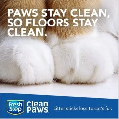 Fresh Step Clean Paws Multi-Cat Scented Clumping Cat Litter -Purrfect Litter Shop 141506 PT5. AC SS1800 V1695153770