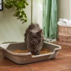 Nature's Logic All Natural Pine Unscented Non-Clumping Wood Cat Litter -Purrfect Litter Shop 153908 PT3. AC SS1800 V1680789625