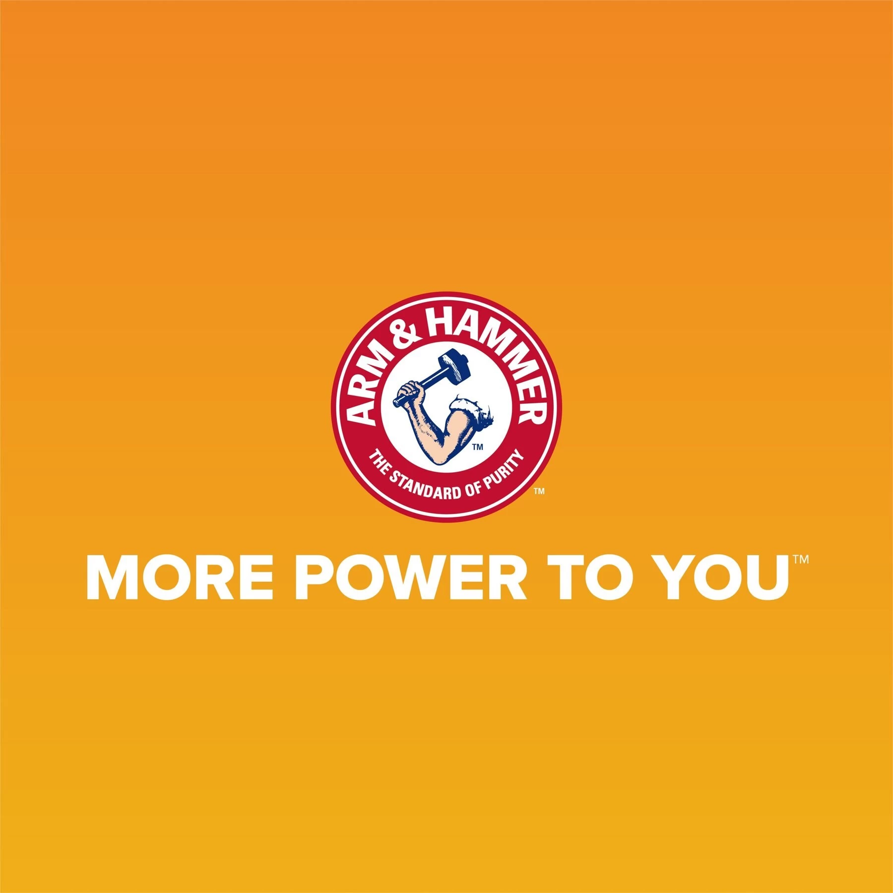 Arm & Hammer Sifting Cat Litter Pan 5 Arm & Hammer Sifting Cat Litter Pan - Image 3