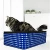 Pet Fit For Life Collapsible Portable Litter Box With Collapsible Bowl -Purrfect Litter Shop 159018 MAIN. AC SS1800 V1565285083