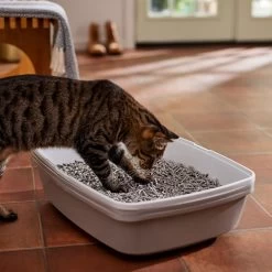 Frisco Unscented Non-Clumping Recycled Paper Cat Litter -Purrfect Litter Shop 161380 PT4. AC SS1800 V1660944676