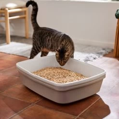 Frisco Pine Pellet Unscented Non-Clumping Wood Cat Litter -Purrfect Litter Shop 161458 PT4. AC SS1800 V1659023182