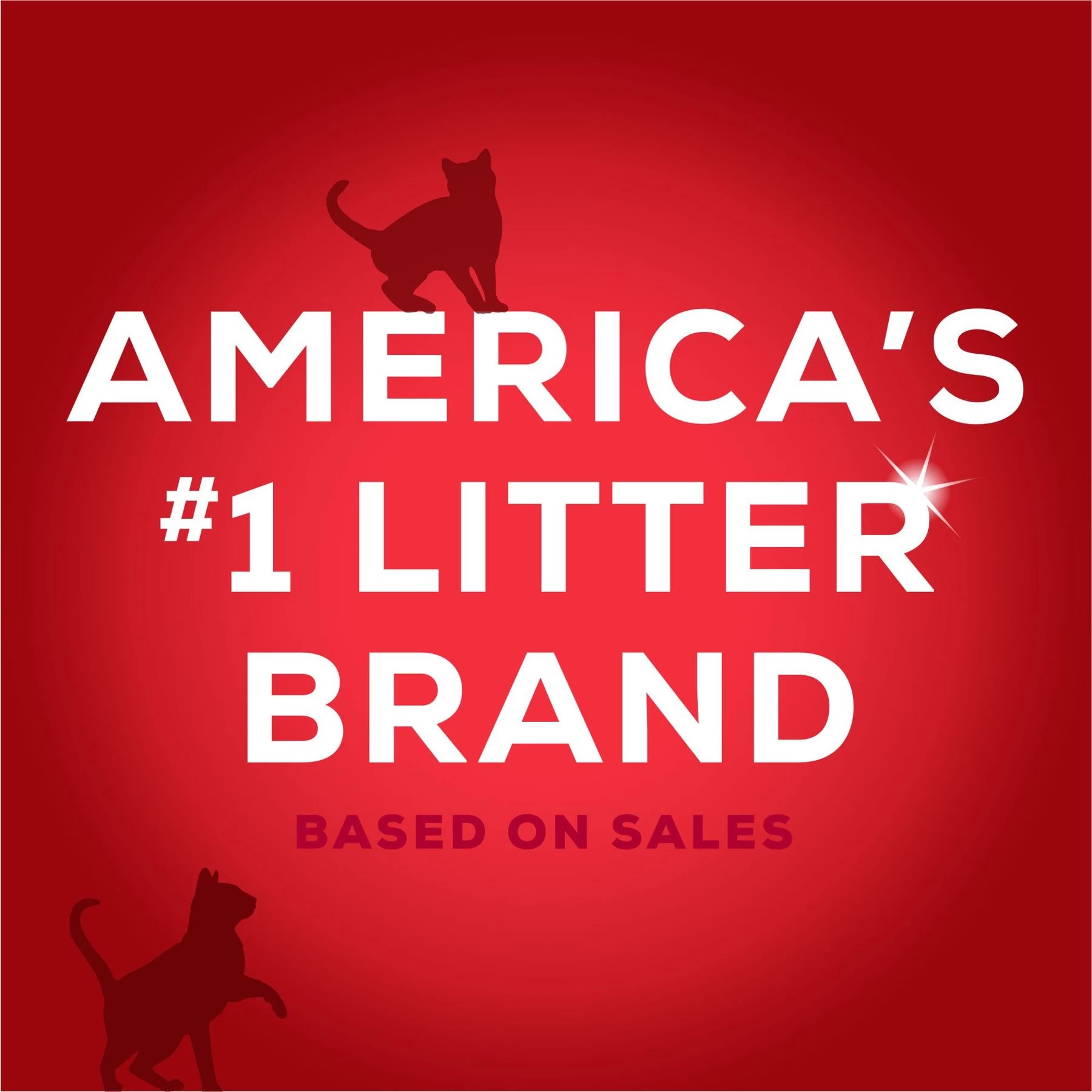 Tidy Max 24/7 Performance Scented Clumping Clay Cat Litter 8 Tidy Max 24/7 Performance Scented Clumping Clay Cat Litter - Image 6