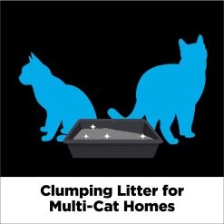 Arm & Hammer Litter Cloud Control Platinum Multi-Cat Clumping Cat Litter With Hypoallergenic Light Scent -Purrfect Litter Shop 164606 PT6. AC SS1800 V1663797772