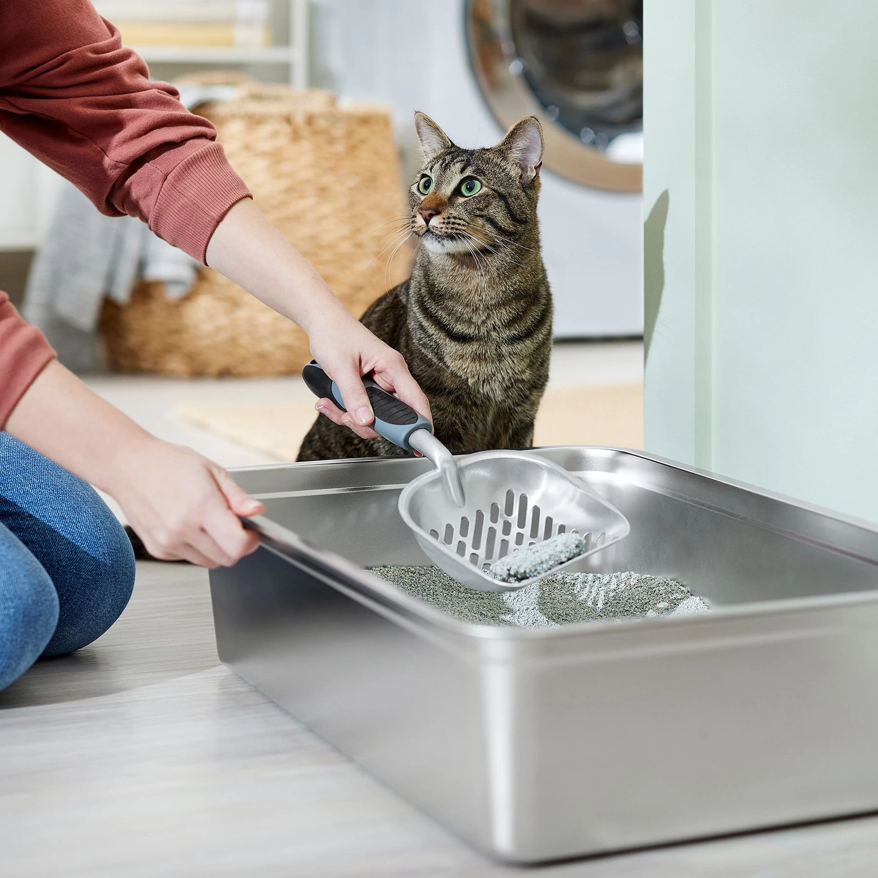 Frisco Litter Scooper 3 Frisco Litter Scooper