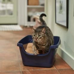 Vetbasis Herbal Lavender Scented Clumping Corn Cat Litter -Purrfect Litter Shop 178316 PT3. AC SS1800 V1680789622