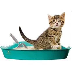 SunGrow Non-Stick Metal Scoop Kitty Box Cat Litter Scooper -Purrfect Litter Shop 179562 PT2. AC SS1800 V1561406825
