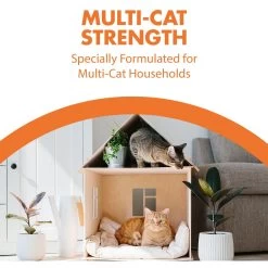 Arm & Hammer Litter Naturals Scented Clumping Corn Cat Litter -Purrfect Litter Shop 184404 PT6. AC SS1800 V1663798197