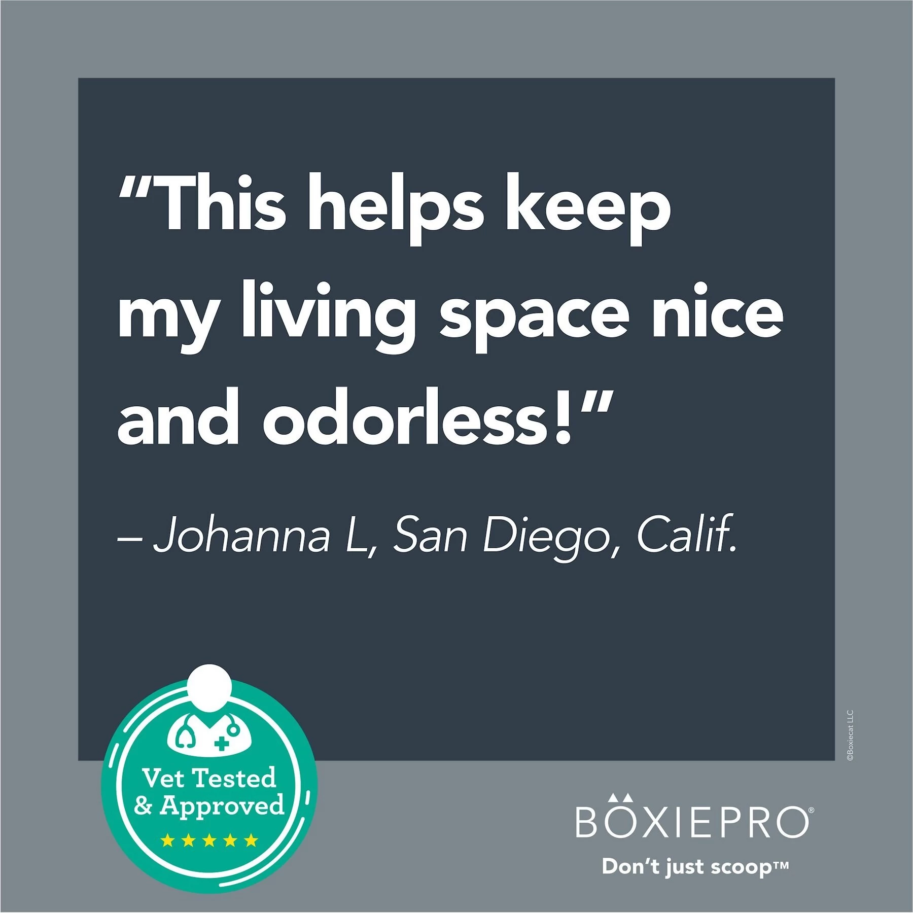 Boxiecat Litter Extender Probiotic Odor Encapsulator Spray, 24-oz Bottle 7 Boxiecat Litter Extender Probiotic Odor Encapsulator Spray, 24-oz Bottle - Image 5