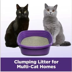 Arm & Hammer Litter Slide Multi-Cat Scented Clumping Clay Cat Litter -Purrfect Litter Shop 207535 PT5. AC SS1800 V1676491992