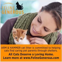 Arm & Hammer Litter Slide Multi-Cat Scented Clumping Clay Cat Litter -Purrfect Litter Shop 207535 PT6. AC SS1800 V1676491989