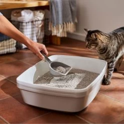 Frisco Lightweight Unscented Clumping Cat Litter -Purrfect Litter Shop 230716 PT4. AC SS1800 V1659023918