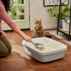Frisco Tofu Clumping Cat Litter 13 Frisco Tofu Clumping Cat Litter -Purrfect Litter Shop 232117 PT4. AC SS1800 V1659546420