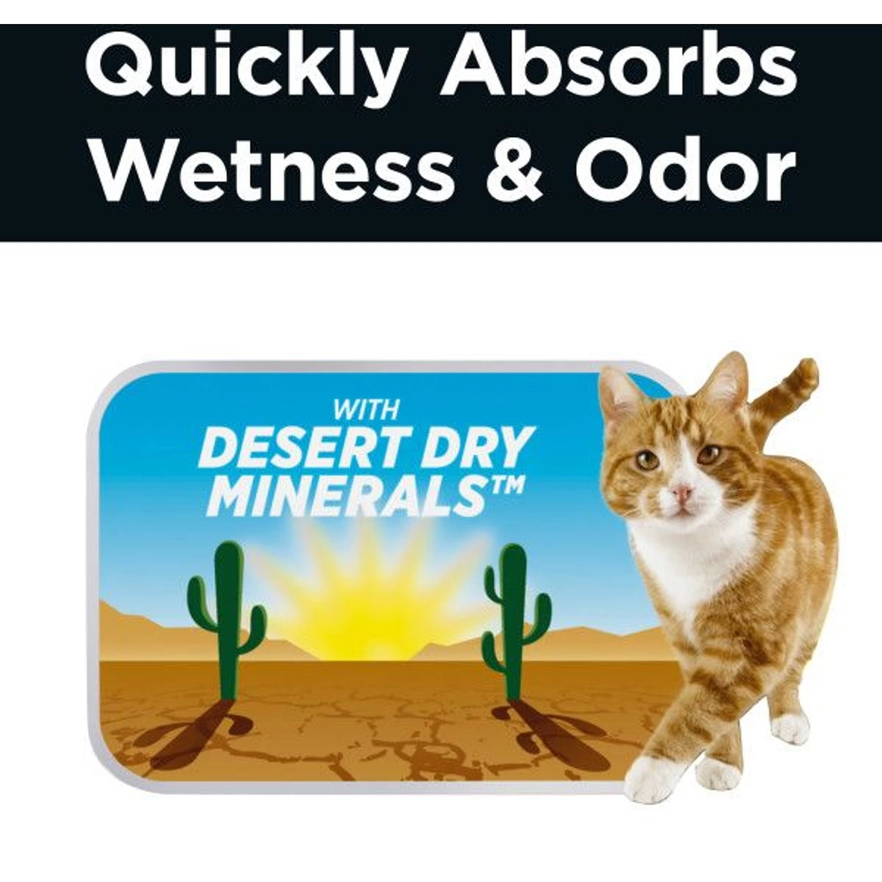 Arm & Hammer Litter Clump & Seal AbsorbX Absorbing Multi-Cat Cat Litter 7 Arm & Hammer Litter Clump & Seal AbsorbX Absorbing Multi-Cat Cat Litter - Image 5