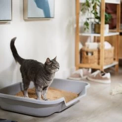 Catalyst Pet Multi-Cat Formula Cat Litter -Purrfect Litter Shop 241764 PT3. AC SS1800 V1680789563