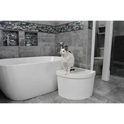 Kitangle Top Entry Cat Litter Box, Large -Purrfect Litter Shop 252802 PT7. AC SS1800 V1600906257