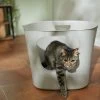 Frisco Leaf High-Sided Cat Litter Box, Large -Purrfect Litter Shop 258782 MAIN. AC SS1800 V1675279700