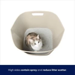 Frisco Leaf High-Sided Cat Litter Box, Large -Purrfect Litter Shop 258782 PT2. AC SS1800 V1675279643