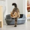 Frisco Corner Sifting Cat Litter Box With Rim 1 Frisco Corner Sifting Cat Litter Box With Rim -Purrfect Litter Shop 264933 MAIN. AC SS1800 V1675279641