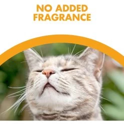 Feline Pine Platinum Natural Pine Cat Litter -Purrfect Litter Shop 272685 PT4. AC SS1800 V1663798048