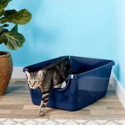 Frisco High Sided Cat Litter Box, Extra Large & World's Best Multi-Cat Unscented Clumping Corn Cat Litter -Purrfect Litter Shop 293046 PT2. AC SS1800 V1619998947