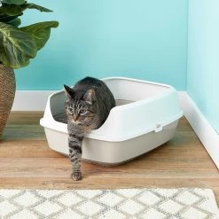Frisco Decorative Side Table Cat Litter Box Cover & Frisco Open Top Cat Litter Box With Rim, Large -Purrfect Litter Shop 297992 PT6. AC SS1800 V1621299762