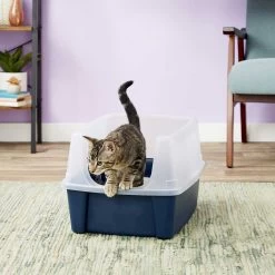 Frisco Plastic Litter Scooper With Caddy & IRIS USA Open Top Litter Box With Scatter Shield 15 Frisco Plastic Litter Scooper With Caddy & IRIS USA Open Top Litter Box With Scatter Shield -Purrfect Litter Shop 298166 PT6. AC SS1800 V1623202669