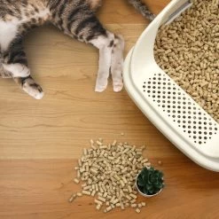 Casual Home Natural Pine Pellet Unscented Non-Clumping Cat Litter, 20-lb Bag -Purrfect Litter Shop 338569 PT6. AC SS1800 V1635349342
