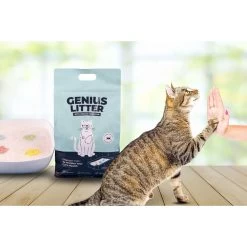 Alpha Paw Genius Litter With Health Indicator Cat Litter, 6-lbs -Purrfect Litter Shop 344555 PT7. AC SS1800 V1667331826