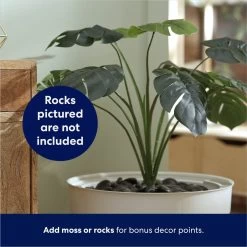 Frisco Hidden Planter Cat Litter Box, 16-in -Purrfect Litter Shop 345566 PT4. AC SS1800 V1668737273