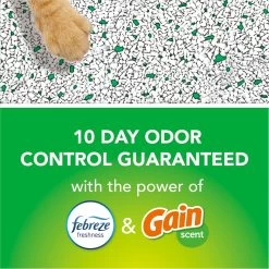 Fresh Step Febreze Freshness Gain Scented Clumping Clay Cat Litter -Purrfect Litter Shop 346442 PT2. AC SS1800 V1694463360