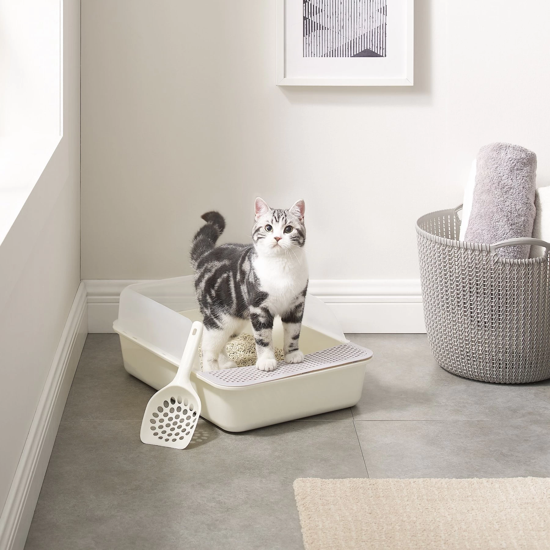Sam's Pets Helix Cat Litter Box, White 3 Sam's Pets Helix Cat Litter Box, White