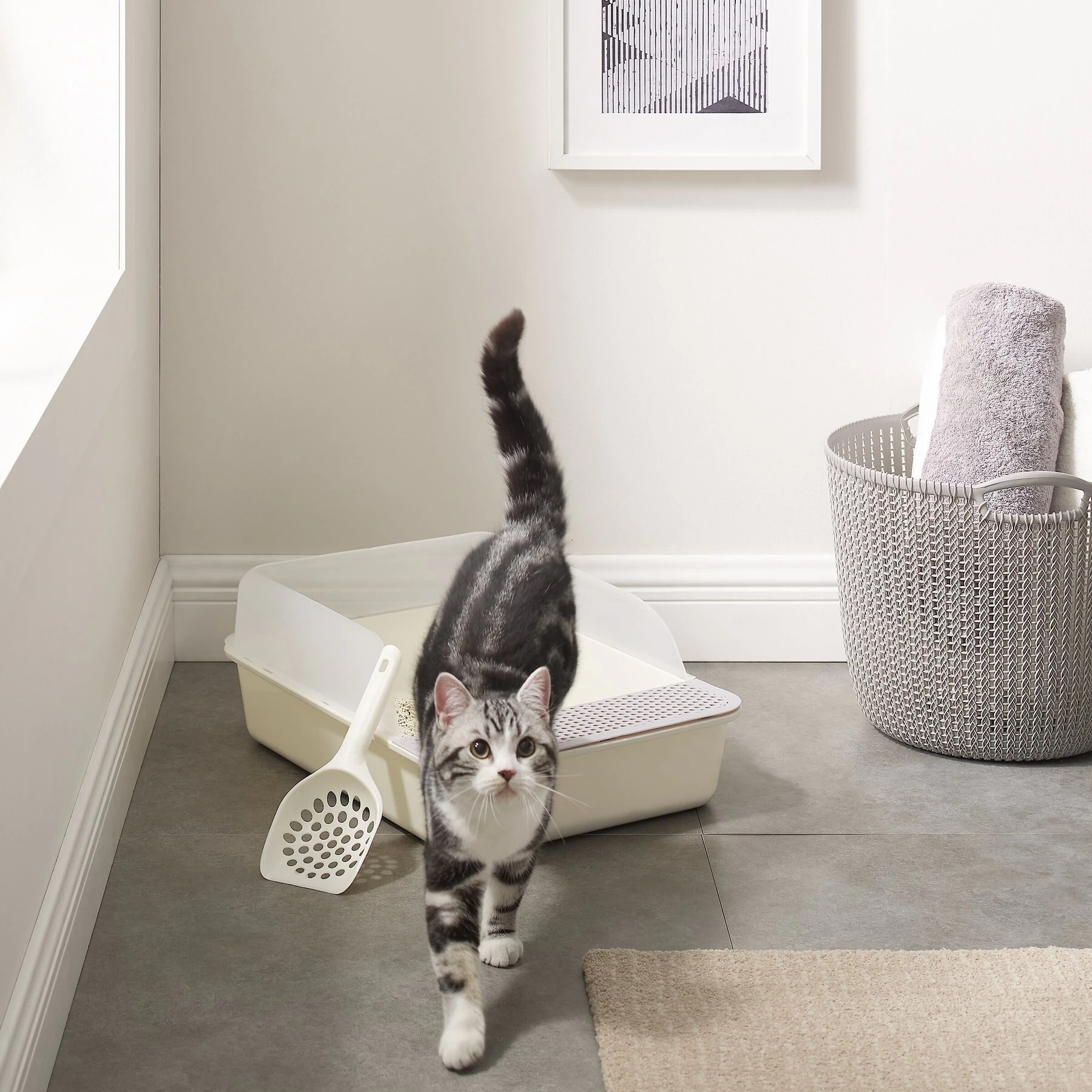 Sam's Pets Helix Cat Litter Box, White 4 Sam's Pets Helix Cat Litter Box, White - Image 2