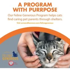 Feline Pine Original Non-Clumping Wood Cat Litter 19 Feline Pine Original Non-Clumping Wood Cat Litter -Purrfect Litter Shop 47407 PT8. AC SS1800 V1663797230