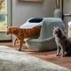 Frisco Mega Deluxe Litter Box 1 Frisco Mega Deluxe Litter Box -Purrfect Litter Shop 526526 MAIN. AC SS1800 V1659623787