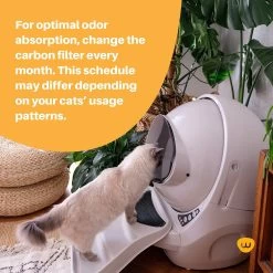 Litter-Robot 3 Cat Litter Box Carbon Filters, 6 Count -Purrfect Litter Shop 535294 PT3. AC SS1800 V1651159029