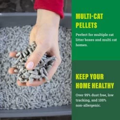 Fresh News Non-Clumping Scented Paper Cat Litter, 25-lb Bag 14 Fresh News Non-Clumping Scented Paper Cat Litter, 25-lb Bag -Purrfect Litter Shop 539206 PT3. AC SS1800 V1667517974