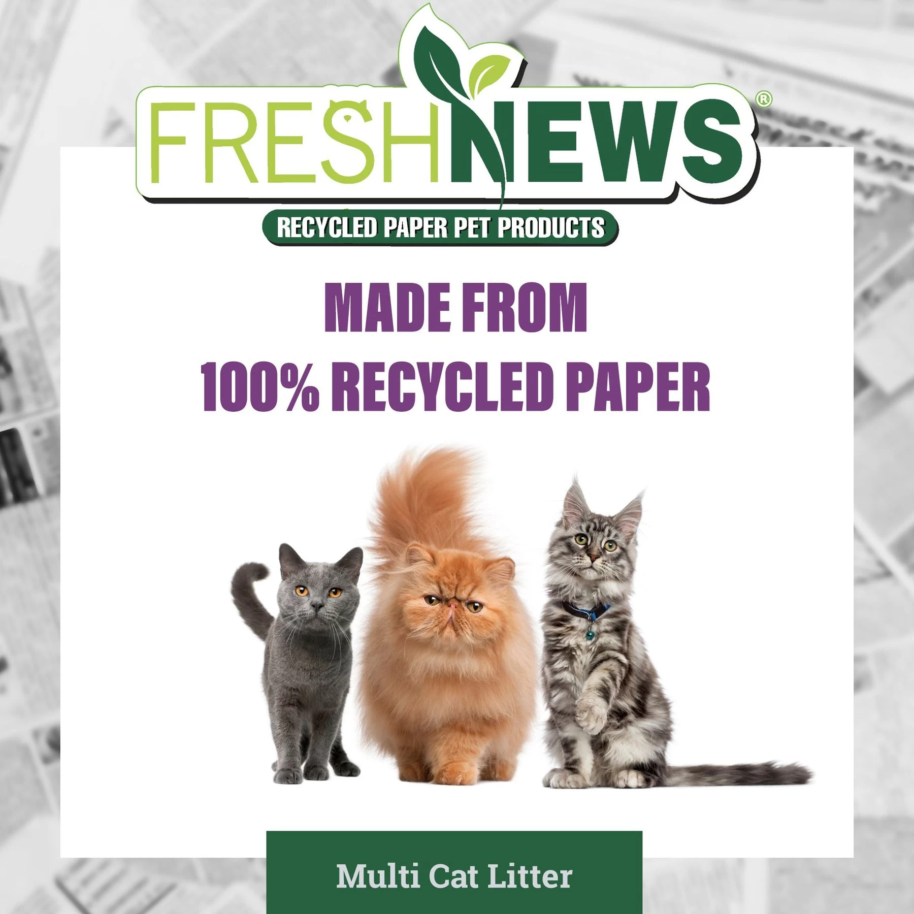 Fresh News Non-Clumping Scented Paper Cat Litter, 25-lb Bag 7 Fresh News Non-Clumping Scented Paper Cat Litter, 25-lb Bag - Image 5