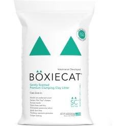 Boxiecat Gently Scented Premium Clumping Clay Cat Litter