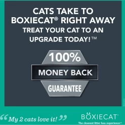 Boxiecat Gently Scented Premium Clumping Clay Cat Litter -Purrfect Litter Shop 582094 PT4. AC SS1800 V1658527461