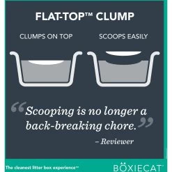 Boxiecat Gently Scented Premium Clumping Clay Cat Litter -Purrfect Litter Shop 582094 PT5. AC SS1800 V1658618566