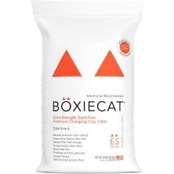Boxiecat Extra Strength Unscented Premium Clumping Clay Cat Litter