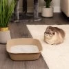 Kitty Sift Disposable Cat Litter Box, 6 Count -Purrfect Litter Shop 613310 MAIN. AC SS1800 V1663712520