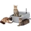 PetSafe Multi-Cat Litter Box 2 PetSafe Multi-Cat Litter Box -Purrfect Litter Shop 617526 MAIN. AC SS1800 V1660233556