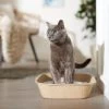 Frisco Disposable Litter Box -Purrfect Litter Shop 632814 MAIN. AC SS1800 V1666363798