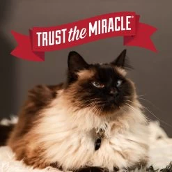 Nature's Miracle Intense Defense Scented Clumping Clay Cat Litter -Purrfect Litter Shop 633374 PT6. AC SS1800 V1667947582